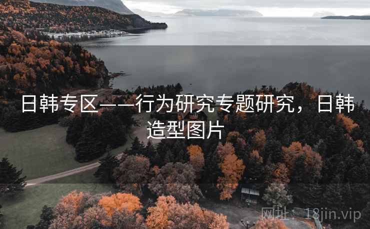 日韩专区——行为研究专题研究，日韩造型图片