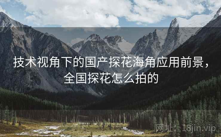 技术视角下的国产探花海角应用前景，全国探花怎么拍的