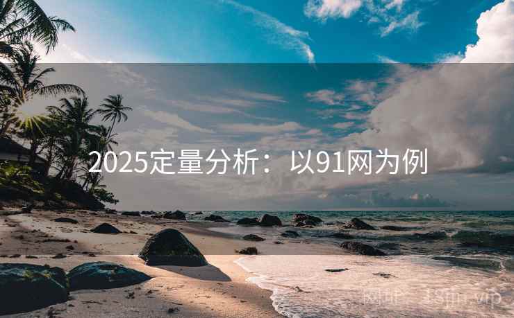 2025定量分析：以91网为例