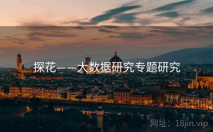 探花——大数据研究专题研究