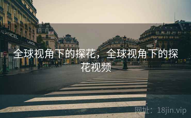 全球视角下的探花，全球视角下的探花视频
