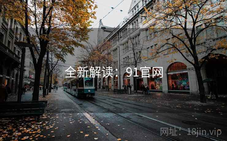 全新解读：91官网