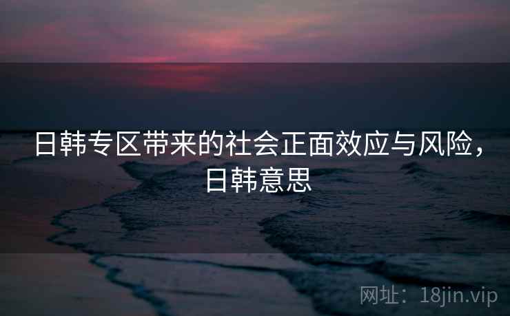 日韩专区带来的社会正面效应与风险，日韩意思
