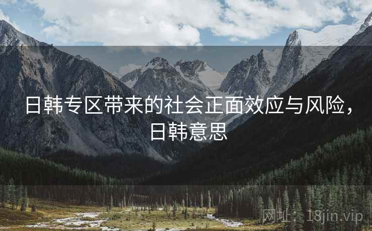日韩专区带来的社会正面效应与风险，日韩意思
