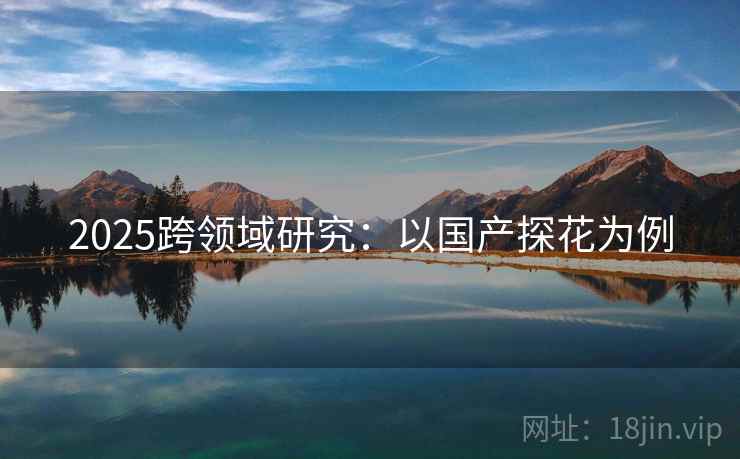 2025跨领域研究：以国产探花为例