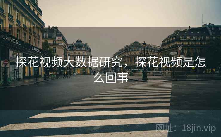 探花视频大数据研究，探花视频是怎么回事