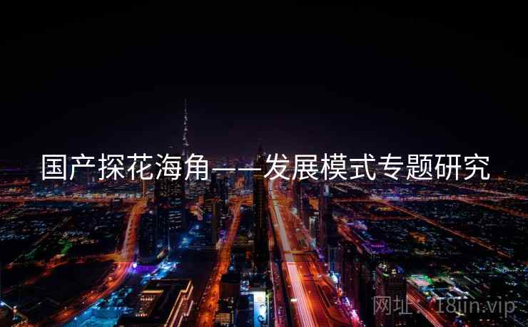 国产探花海角——发展模式专题研究