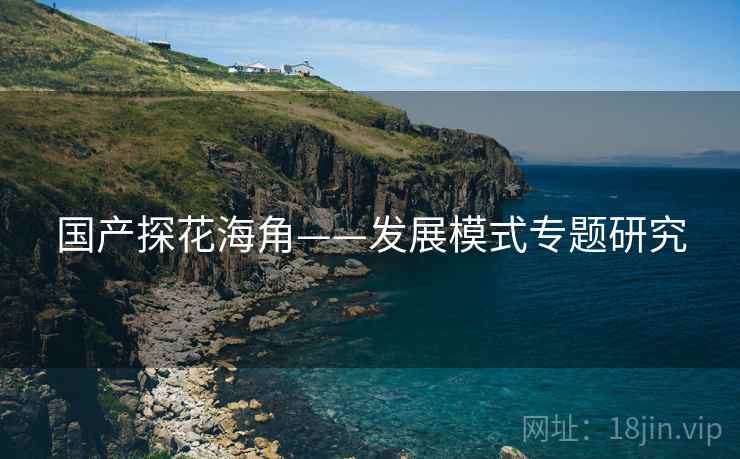 国产探花海角——发展模式专题研究
