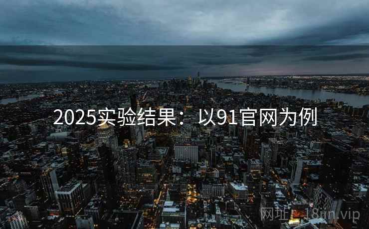2025实验结果：以91官网为例