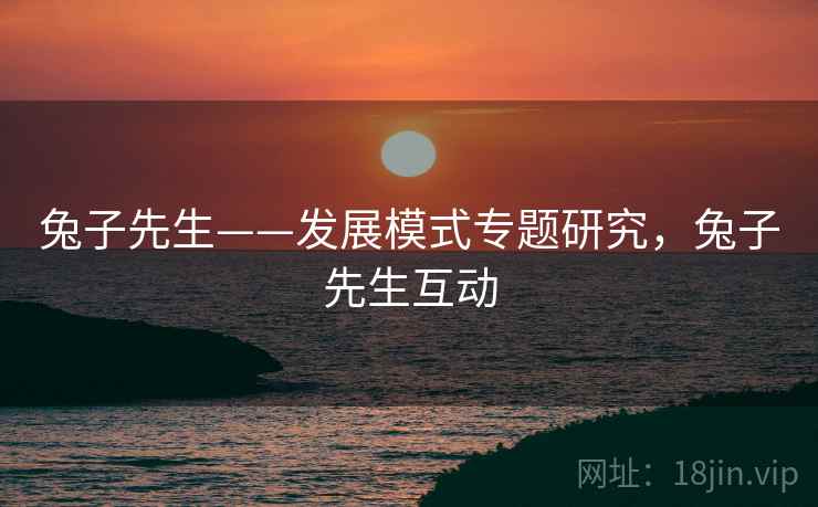 兔子先生——发展模式专题研究，兔子先生互动