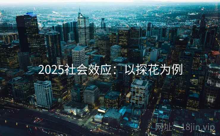 2025社会效应：以探花为例