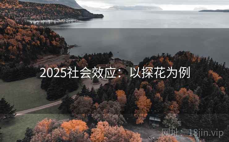2025社会效应：以探花为例