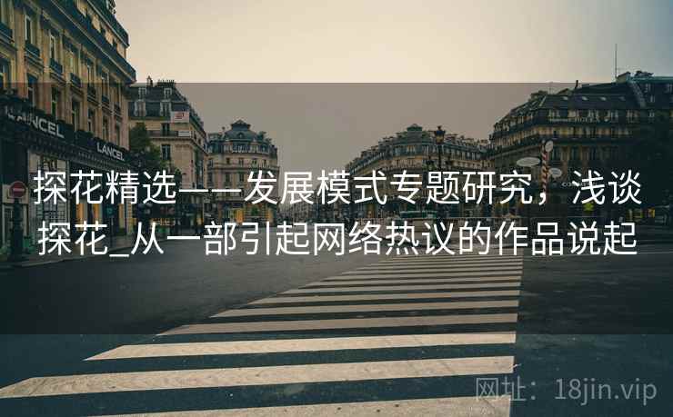 探花精选——发展模式专题研究，浅谈探花_从一部引起网络热议的作品说起