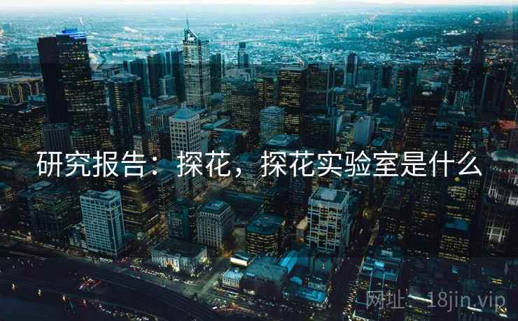 研究报告：探花，探花实验室是什么