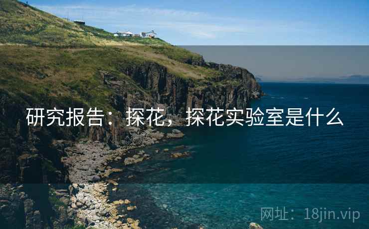 研究报告：探花，探花实验室是什么