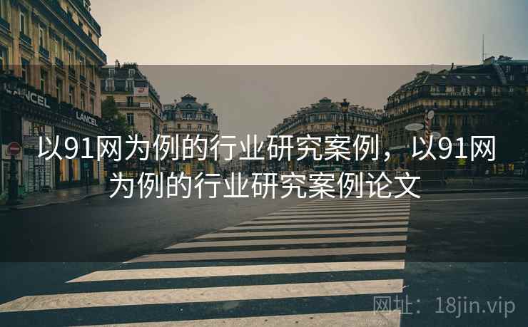 以91网为例的行业研究案例，以91网为例的行业研究案例论文