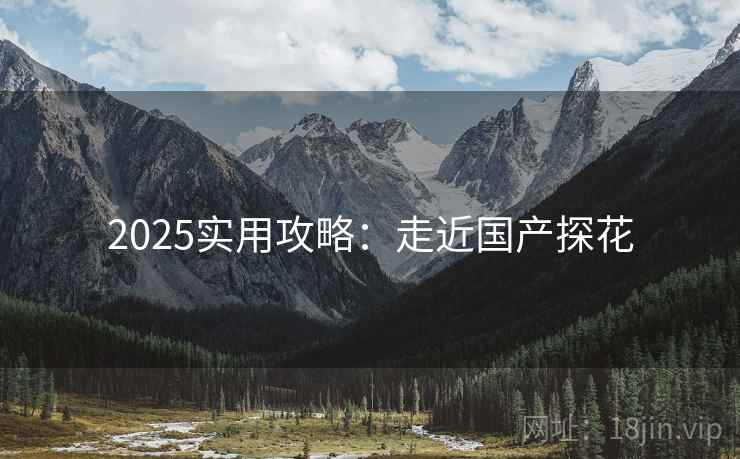 2025实用攻略：走近国产探花