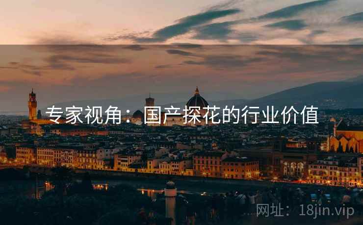 专家视角：国产探花的行业价值