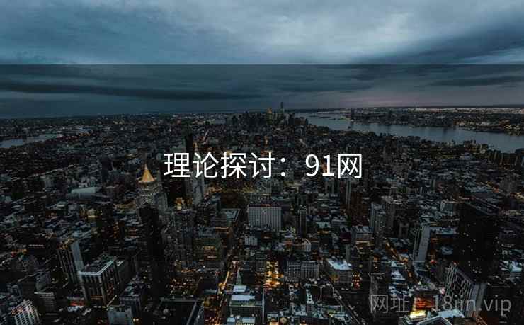 理论探讨：91网