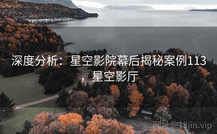 深度分析：星空影院幕后揭秘案例113，星空影厅