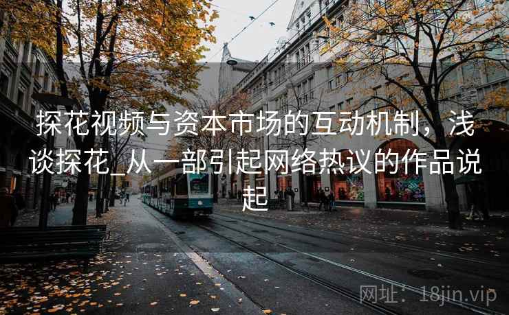 探花视频与资本市场的互动机制，浅谈探花_从一部引起网络热议的作品说起