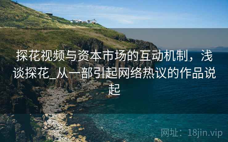 探花视频与资本市场的互动机制，浅谈探花_从一部引起网络热议的作品说起