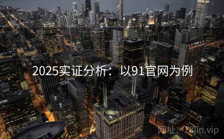 2025实证分析：以91官网为例