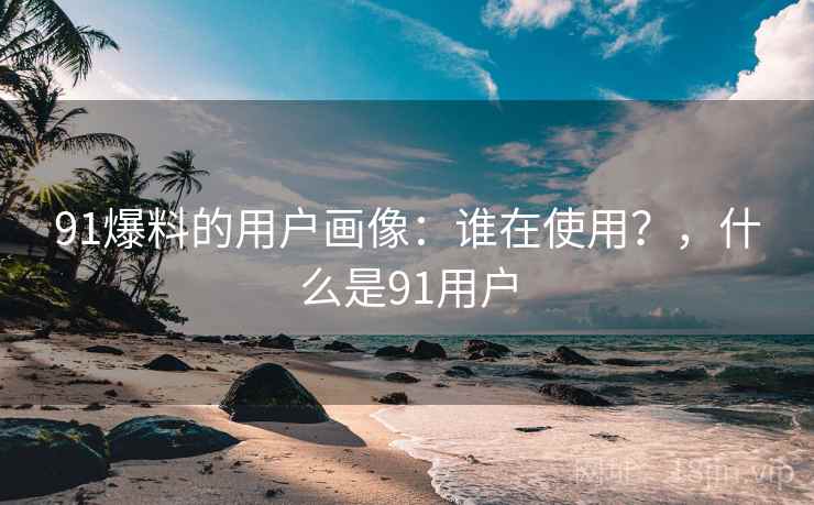 91爆料的用户画像：谁在使用？，什么是91用户