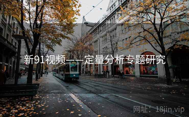 新91视频——定量分析专题研究