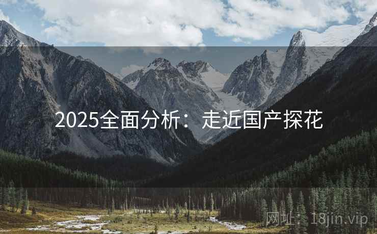 2025全面分析：走近国产探花