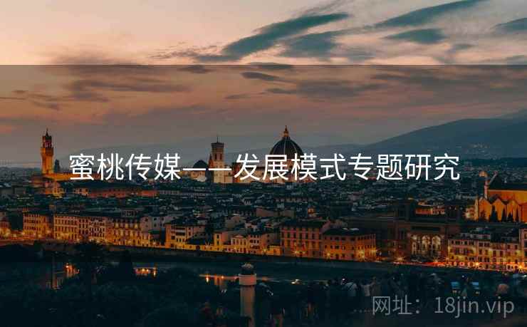 蜜桃传媒——发展模式专题研究