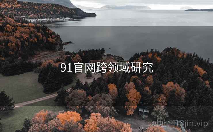 91官网跨领域研究