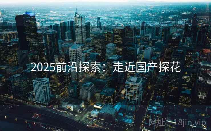 2025前沿探索：走近国产探花