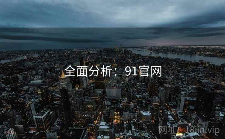 全面分析：91官网