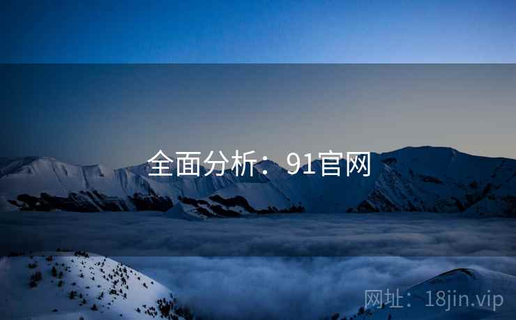 全面分析：91官网