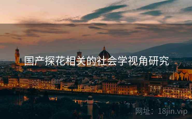 国产探花相关的社会学视角研究