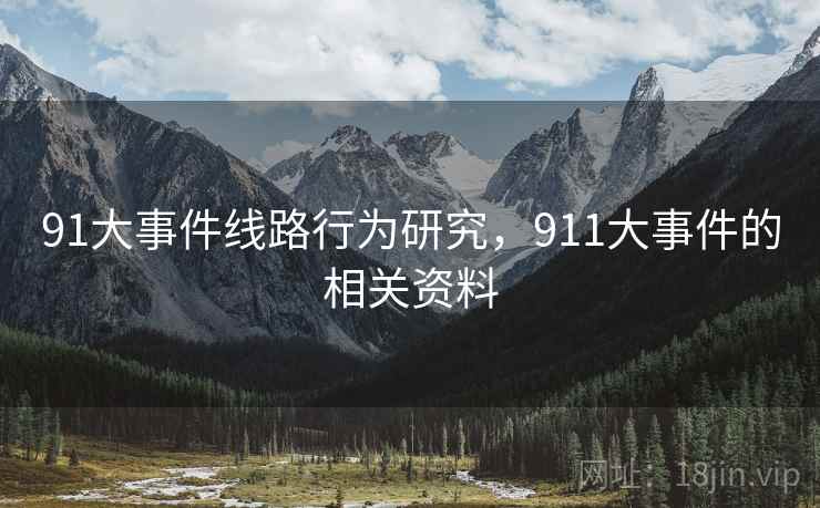 91大事件线路行为研究，911大事件的相关资料