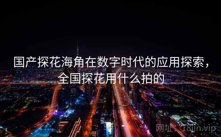 国产探花海角在数字时代的应用探索，全国探花用什么拍的