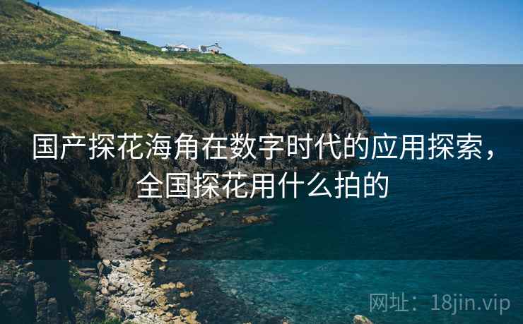 国产探花海角在数字时代的应用探索，全国探花用什么拍的