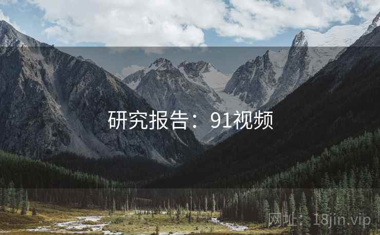 研究报告：91视频