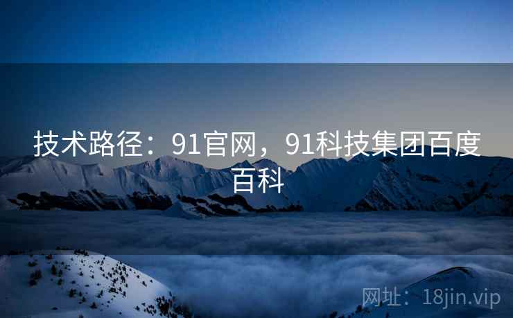 技术路径：91官网，91科技集团百度百科
