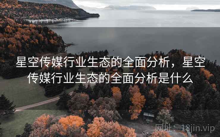 星空传媒行业生态的全面分析，星空传媒行业生态的全面分析是什么
